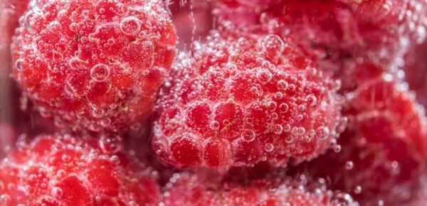 Saccharomyces